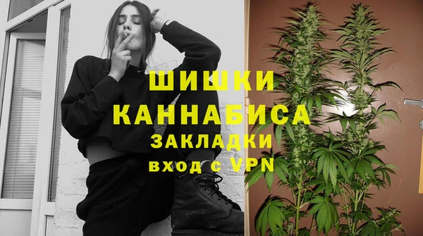 экстази Арсеньев