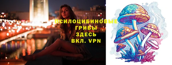 прущая мука Армянск