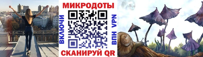маркетплейс официальный сайт Кашин Псилоцибиновые грибы ЛСД